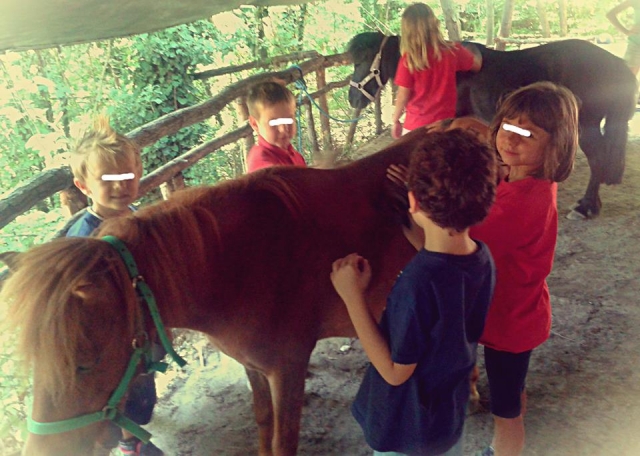  Conociendo los ponis y cuidándolos